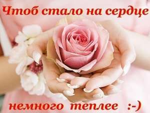 ������ ��������� ����� ������ ������ � ������� ��� - ����������� 1