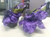 ������� � ����������: ������ ��������� ������ ������