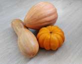 ������ ��������� ������ ������� �� ������������� (������ �� �������, ����, �������). �������� - �������/�������