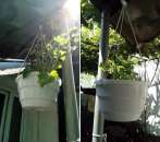 ������ ���������. ������. ������� ���� - ����������� 2