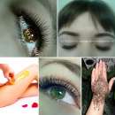 ������� � ����������: ������ ��������� ������, ����������� ������, �������� ����