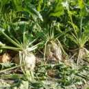 ������ ��������� ������ - ������������. �Ҳ���� �� ��������