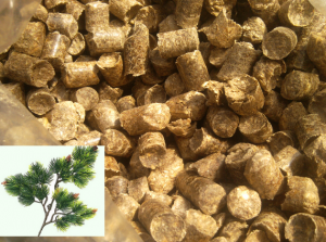 ������ ��������� ������� - ����������� 1