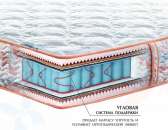 ������ ��������� ������� (Matroluxe Camelia), ����� - ����������� 2