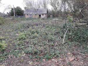 ������ ��������� ������� � ����� � �. ���������� - ����������� 1