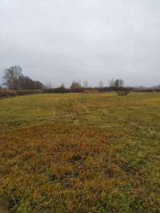 ������ ��������� ������� � �������� - ����������� 1