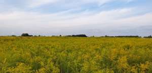 ������ ��������� ������� ��� ����� ��������� � ���� �������, �������� �������, 12 ����� - ����������� 1