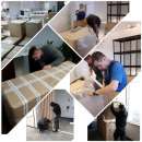 ������ ��������� (�������) ���� � ������� - ����������� 1