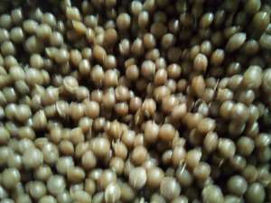 ������ ��������� ������� ������ 54 �/�� �/� � ���. - ����������� 1