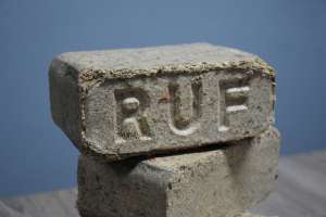 ������ ��������� /������� ���������. - ����������� 1