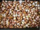 ������� � ����������: ������ (���������) �������� ����� � ��������