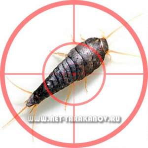 ������ (���������) �������� ���������, �������, ������� � ���������, �����, ���������. - ����������� 1