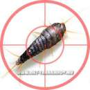 ������� � ����������: ������ (���������) �������� ���������, �������, ������� � ���������, �����, ���������.