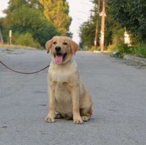 ������ ��������� ��������� - ����������� 1