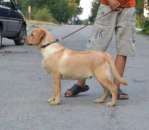 ������ ��������� ��������� - ����������� 2