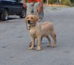 ������ ��������� ��������� - ����������� 3