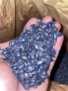 ������ ���������, ��������� - ������� ������� - ����������� 1