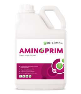 ������ ���������, ���������, ������������� Intermag �������� - ����������� 1