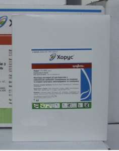 ������ ��������� ����������� ��������� ���� - ����������� 1