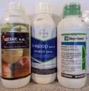 ������ ��������� ����������� ��������� ����� ������� ������ ������� � ������. - ����������� 3