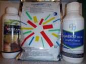 ������ ��������� ����������� ��������� ���������� ������ ������� ������ � ������. - ����������� 2