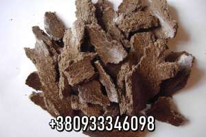 ������ ���������i, ����������, ���� ����������, ������ �o�o��, �o�o��� - ����������� 1