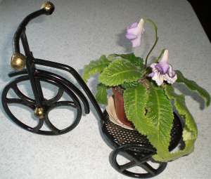 ������ ���������� - ����������� 1