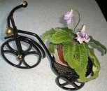 ������� � ����������: ������ ����������