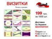 ������� � ����������: ������ ����������