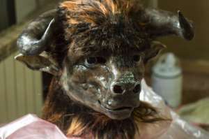 ������ ���������� � ��������� Freeart_nsk. - ����������� 1