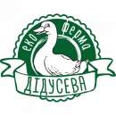 ������: ���������� � �������������. ������� ������ - ������������