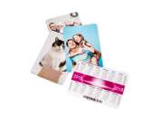 ������� � ����������: ������ ���������� � �������������� ������ �������