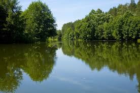 ������ ���-������� � ���������������� ������� - ����������� 1