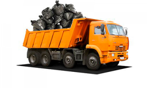 ������ ���������� �� 10 �� 40 ���� � ����� � �������� ���. - ����������� 1