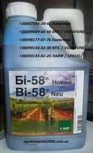 ������ ���������� �� 58 - ����������� 1