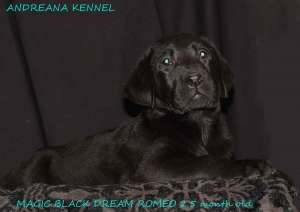 ������ ���������� �� ����������� ��������� ��������� � ������� - ����������� 1