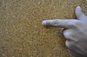 ������ ���������� �� ��������������� ��� - ����������� 1