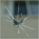 ������� � ����������: ������ ���������� ����