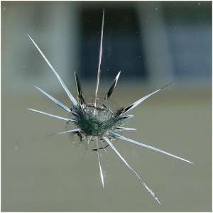 ������ ���������� ���� - ����������� 1