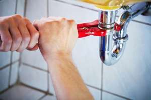 ������ ���������� ���� - ����������� 1