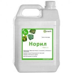 ������ ���������� ����� - ����������� 1