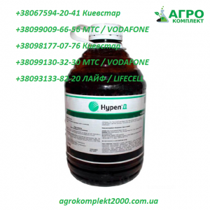 ������ ���������� ����� � - ����������� 1