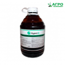 ������� � ����������: ������ ���������� ����� �, �����������