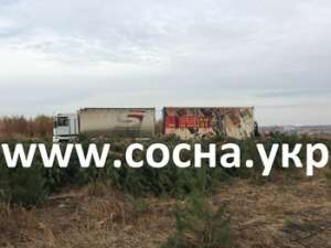 ������ ���������� ����� ����� ����� �� ������ - ����������� 1