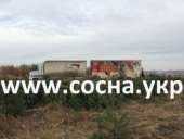 ������� � ����������: ������ ���������� ����� ����� ����� �� ������