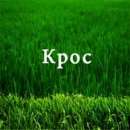 ������� � ����������: ������ ���������� ����� �������� ����