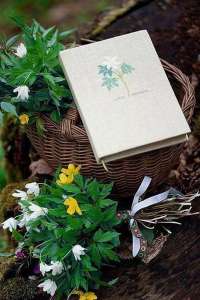 ������ ���������� ������ - ����������� 1