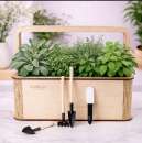 ������ ���������� ������ �� 8 �������. EcoBloom - ����������� 2