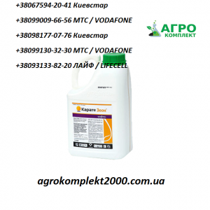 ������ ���������� ������ ���� - ����������� 1