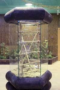 ������ ���������� ������ ����� ����� �������������� ������� �� ���� - ����������� 1